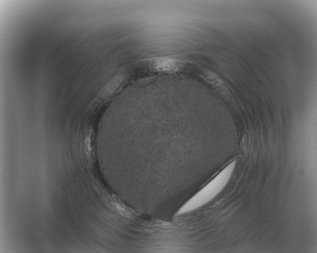 X0000064770424200602242001