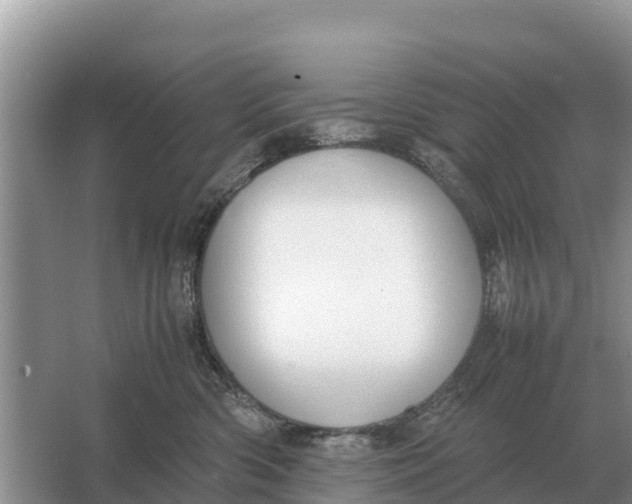 X0000064770426200602242001