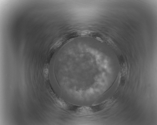 X0000064770427200602242001