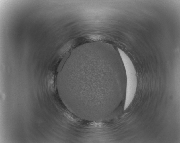 X0000064770428200602242001