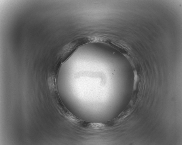 X0000064770429200602242001