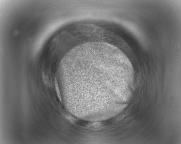 X0000064770431200602242001