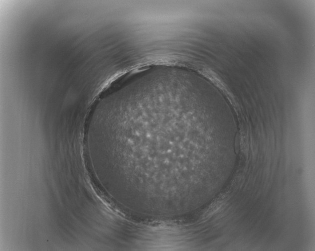 X0000064770434200602242000