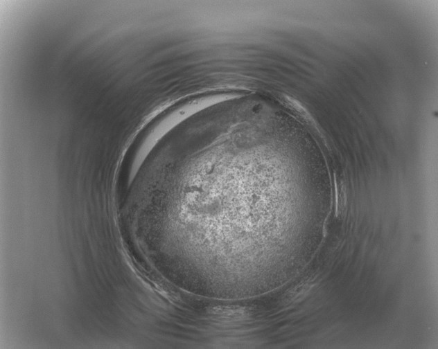 X0000064770435200602242000