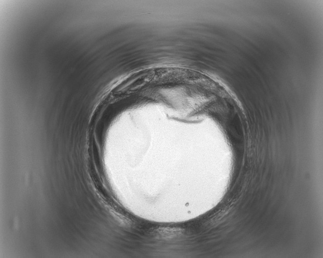 X0000064770437200602242000