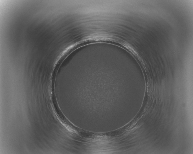 X0000064770438200602242000