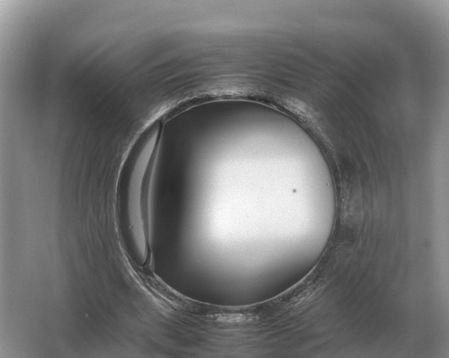 X0000064770439200602242000