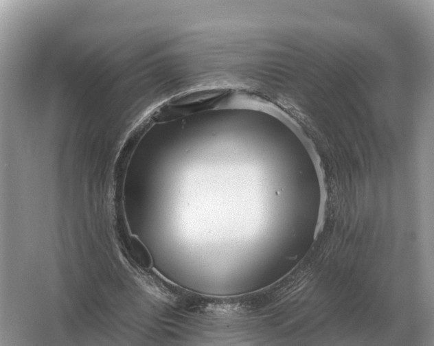 X0000064770440200602242000