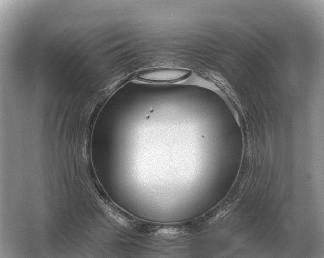 X0000064770441200602242000