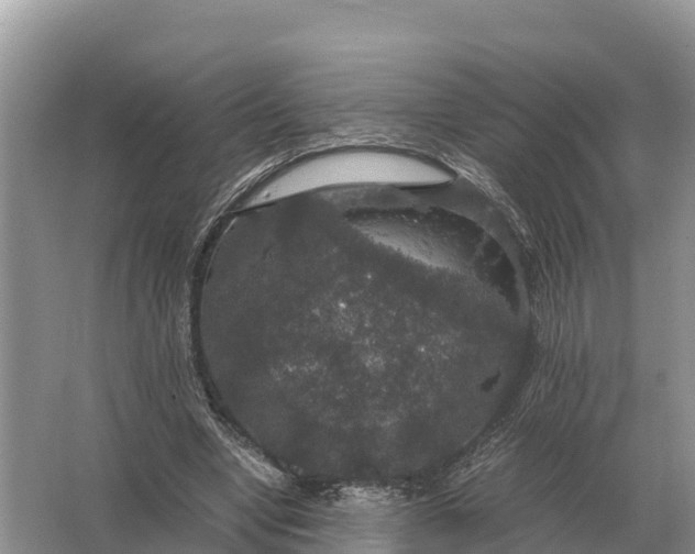 X0000064770442200602242000