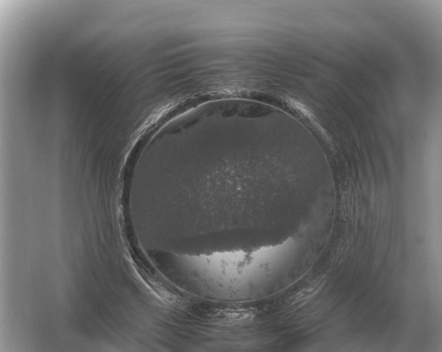 X0000064770443200602242000