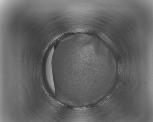 X0000064770444200602242000