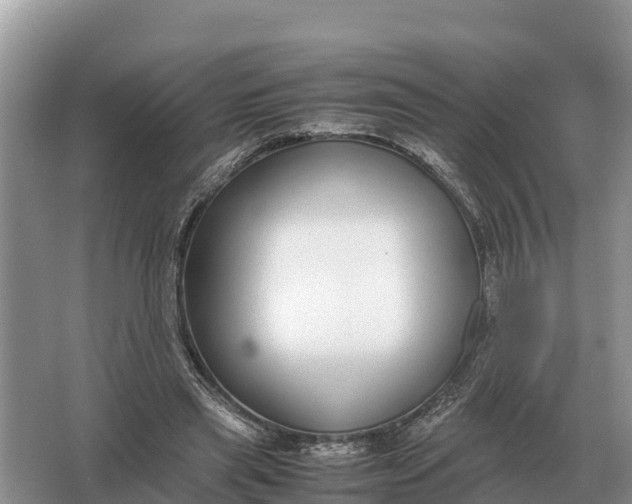 X0000064770445200602242000