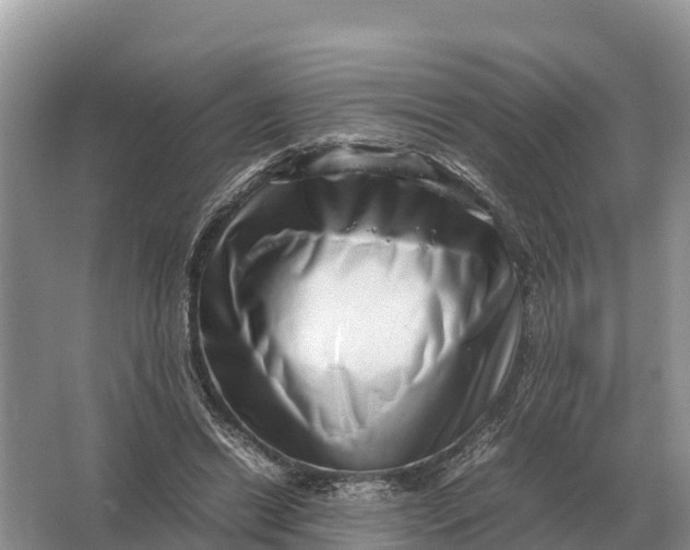 X0000064770446200602242000