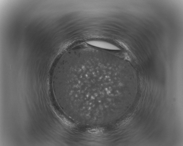 X0000064770447200602242000