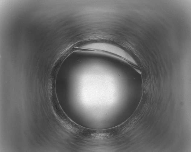 X0000064770448200602242000