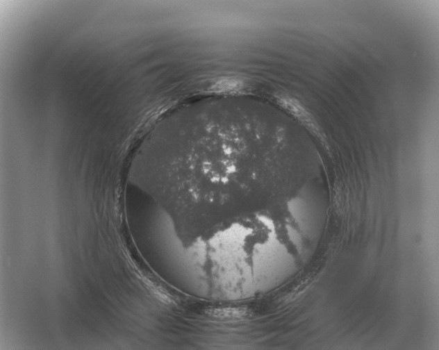 X0000064770449200602242000