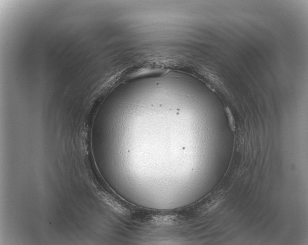 X0000064770450200602242000