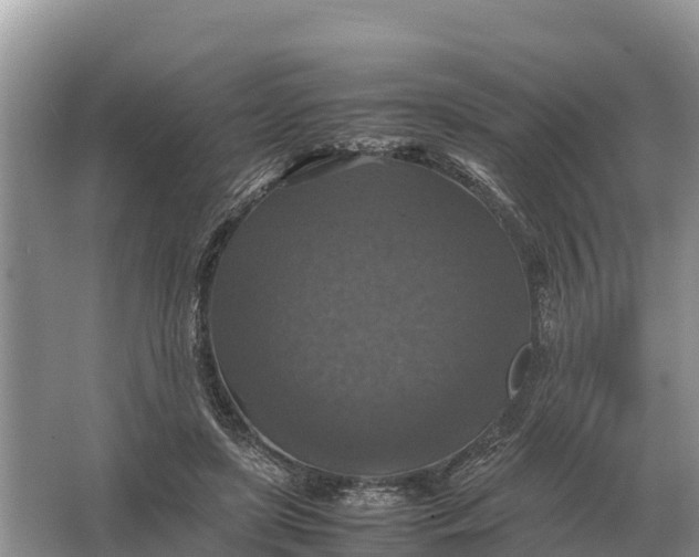 X0000064770451200602242000