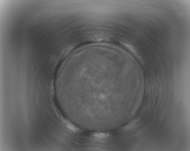 X0000064770453200602242000