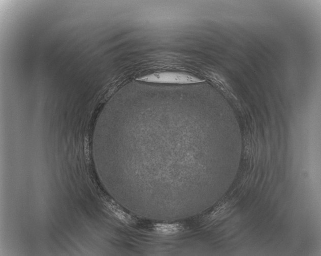 X0000064770457200602242000