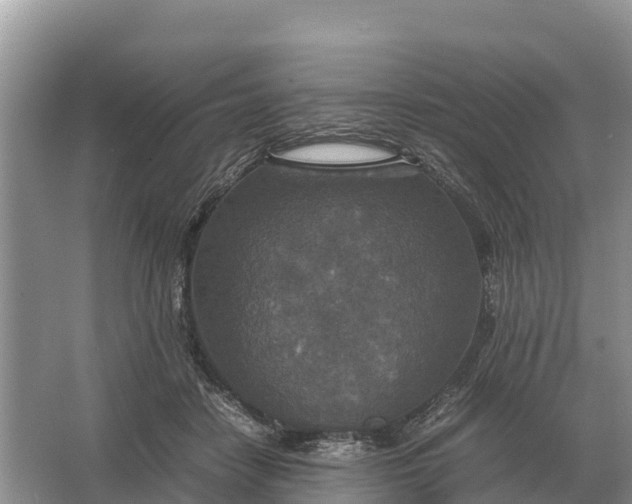 X0000064770458200602242000