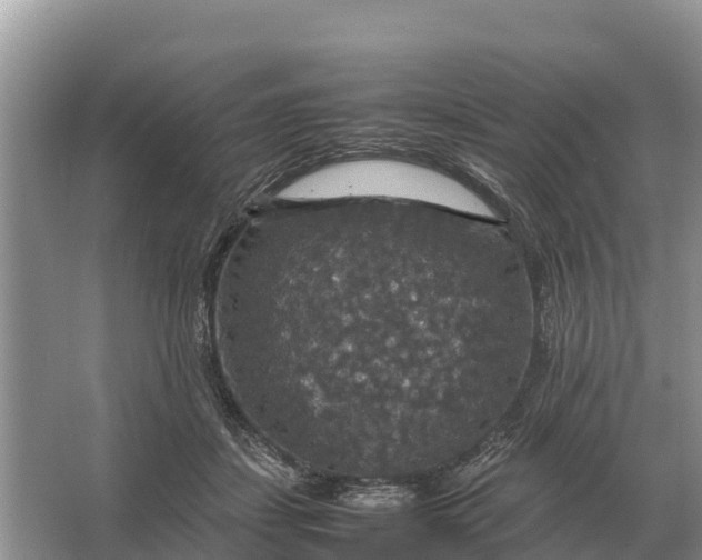 X0000064770459200602242000