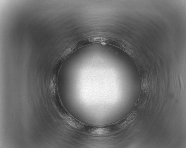 X0000064770460200602242000