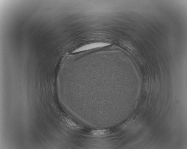 X0000064770461200602242000