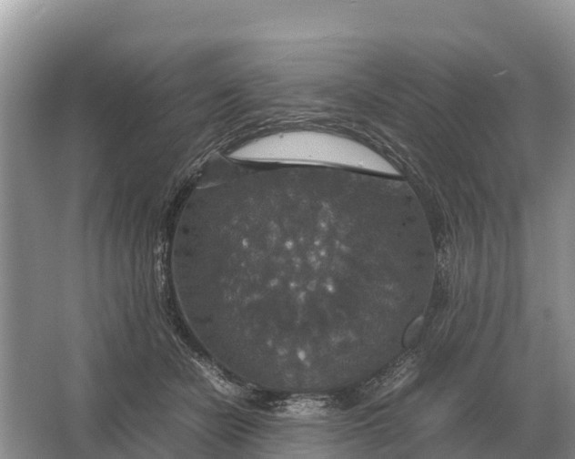 X0000064770462200602242000