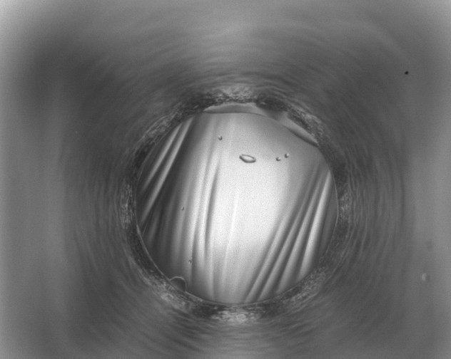 X0000064770464200602242000