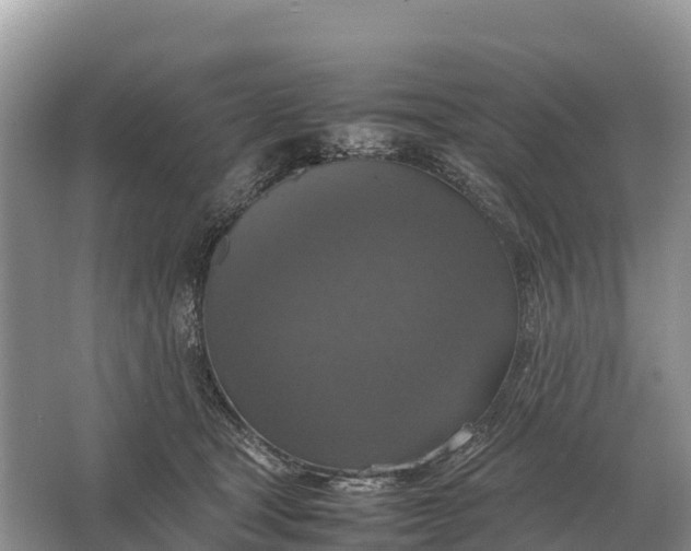 X0000064770465200602242000