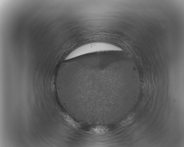 X0000064770466200602242000