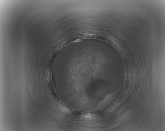 X0000064770467200602242000