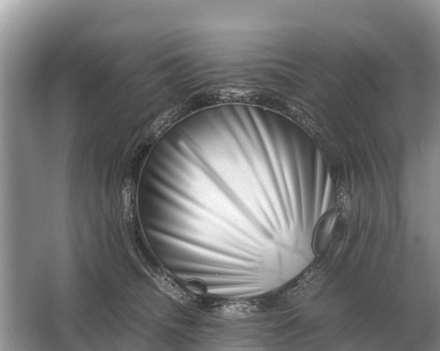 X0000064770468200602242000