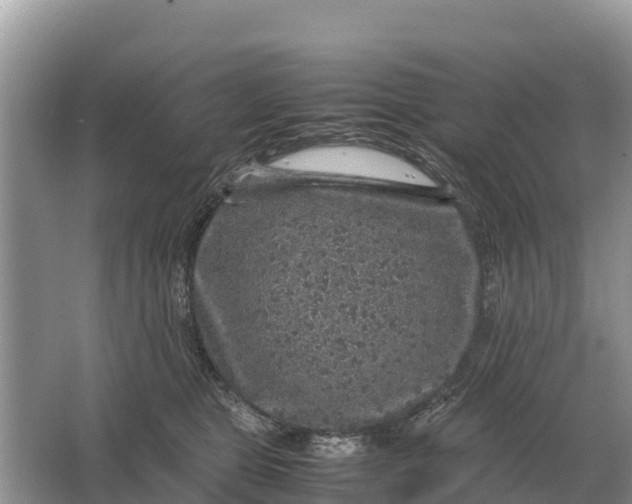 X0000064770469200602242000