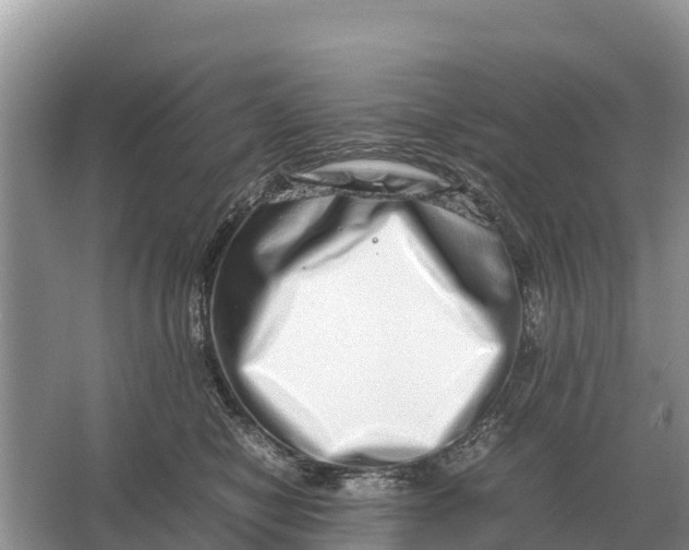 X0000064770470200602242000