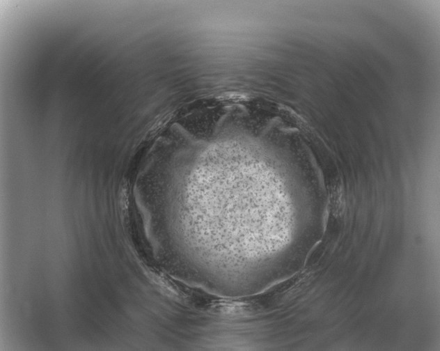 X0000064770472200602242000