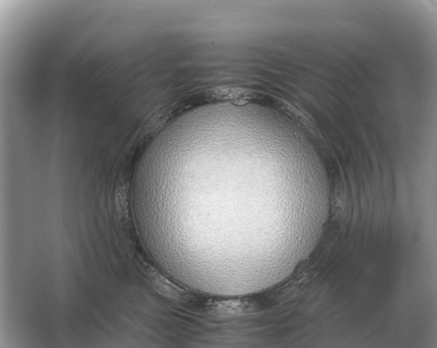 X0000064770473200602242000