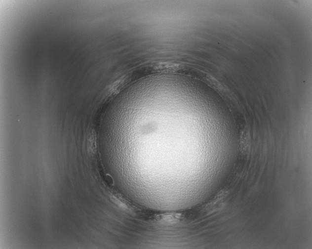 X0000064770474200602242001