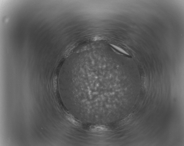 X0000064770475200602242001