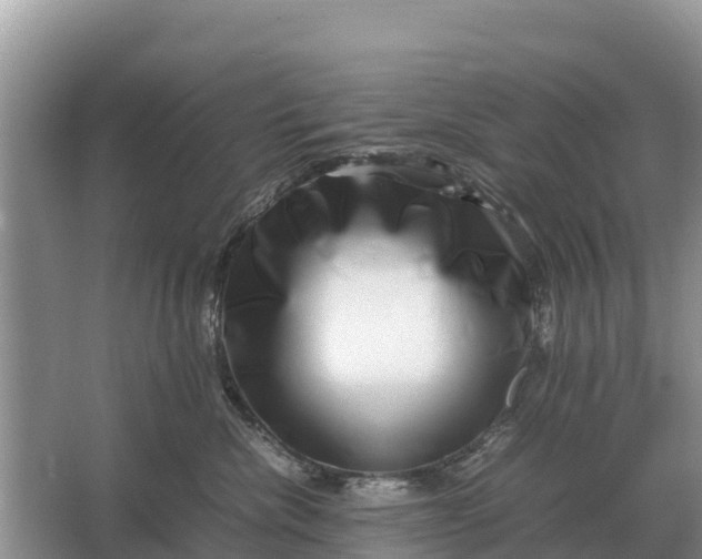 X0000064770476200602242001