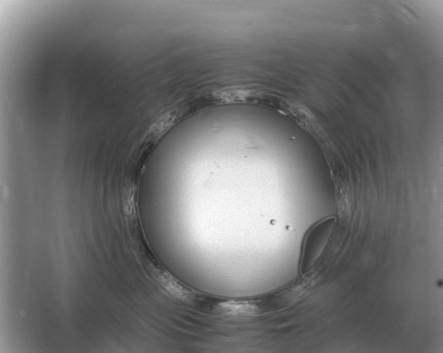 X0000064770477200602242001