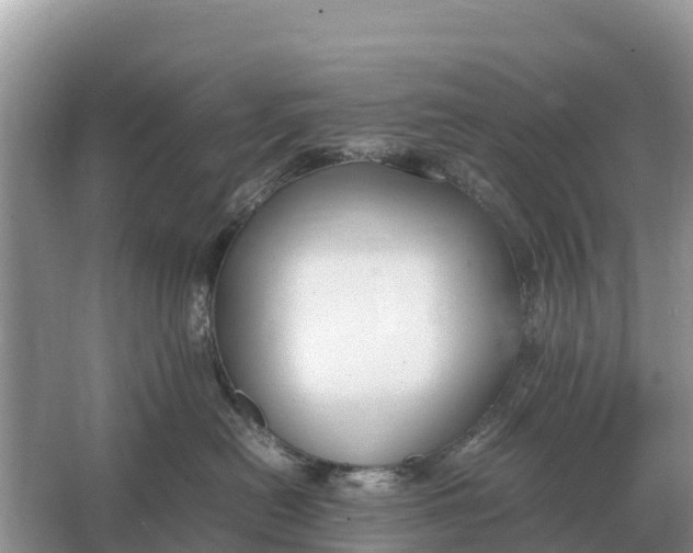 X0000064770478200602242001