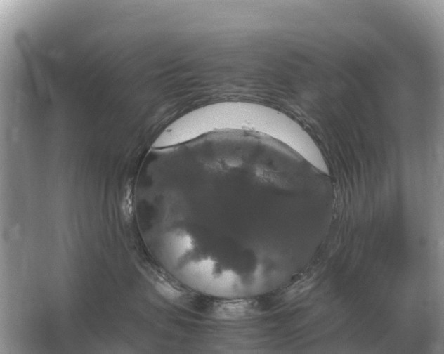 X0000064770479200602242001