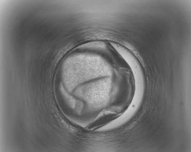 X0000064770481200602241959