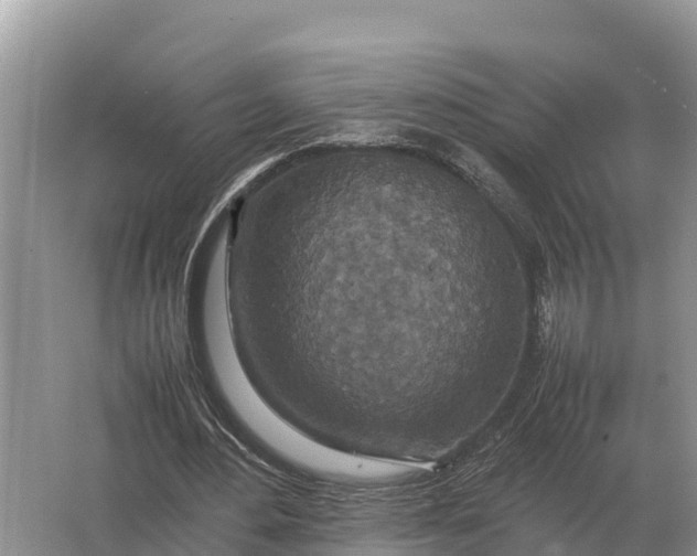 X0000064770484200602241959