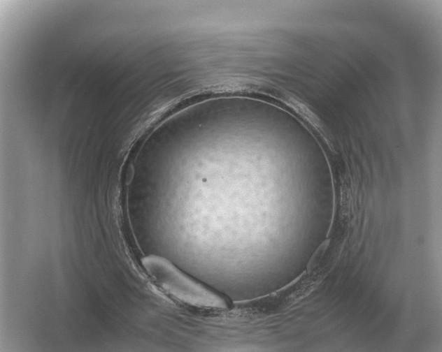 X0000064770485200602241959