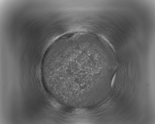 X0000064770487200602241959