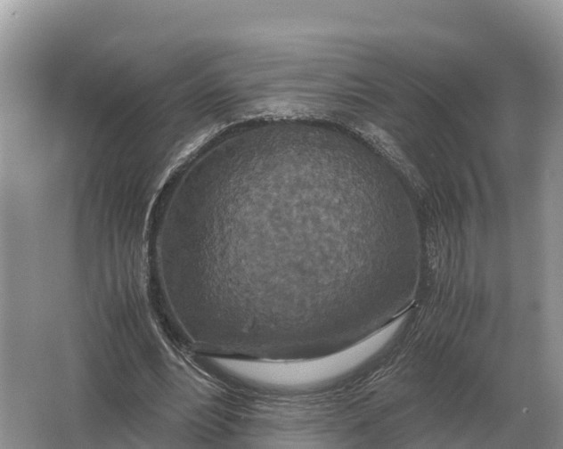 X0000064770488200602241959